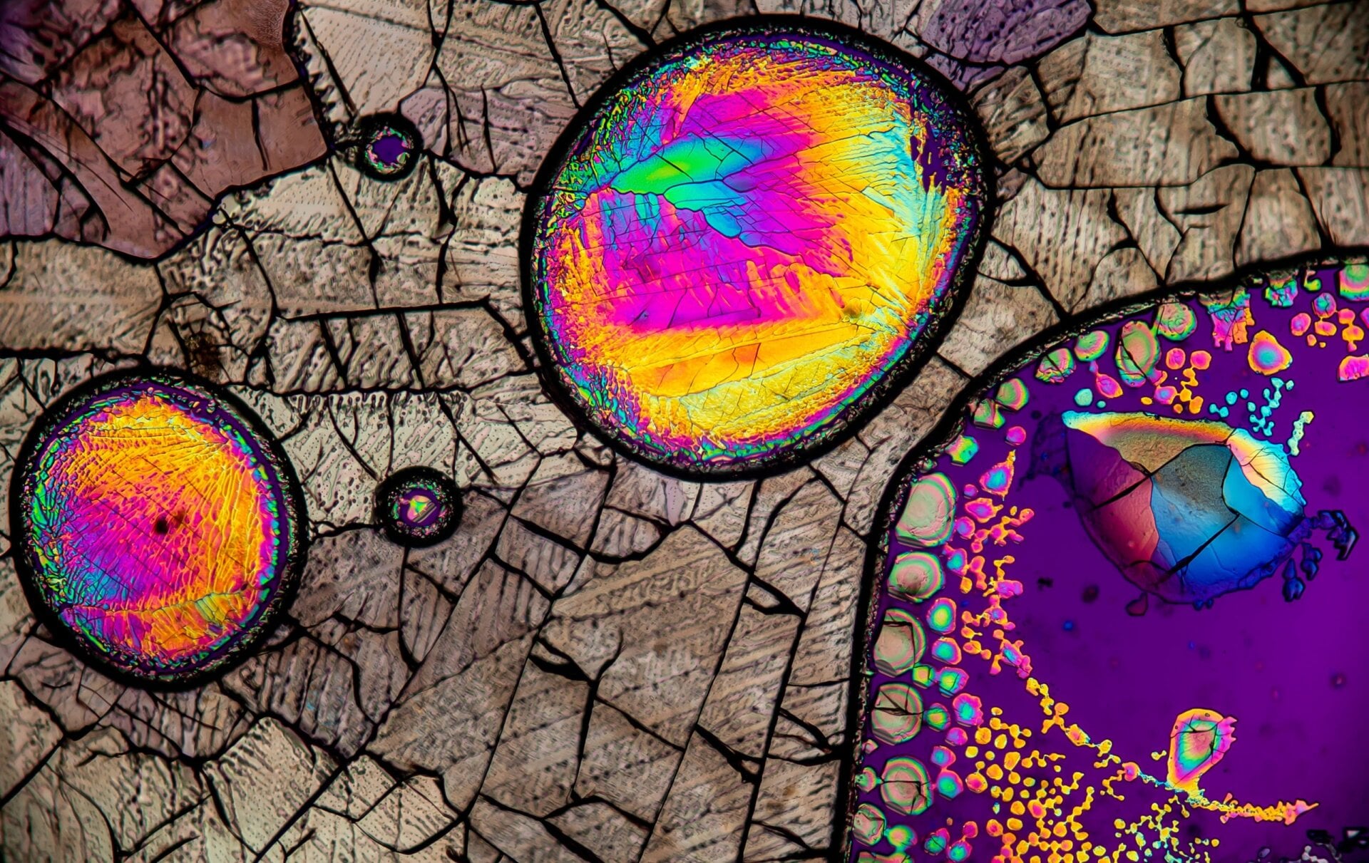 Photo: Thomas Borowitz