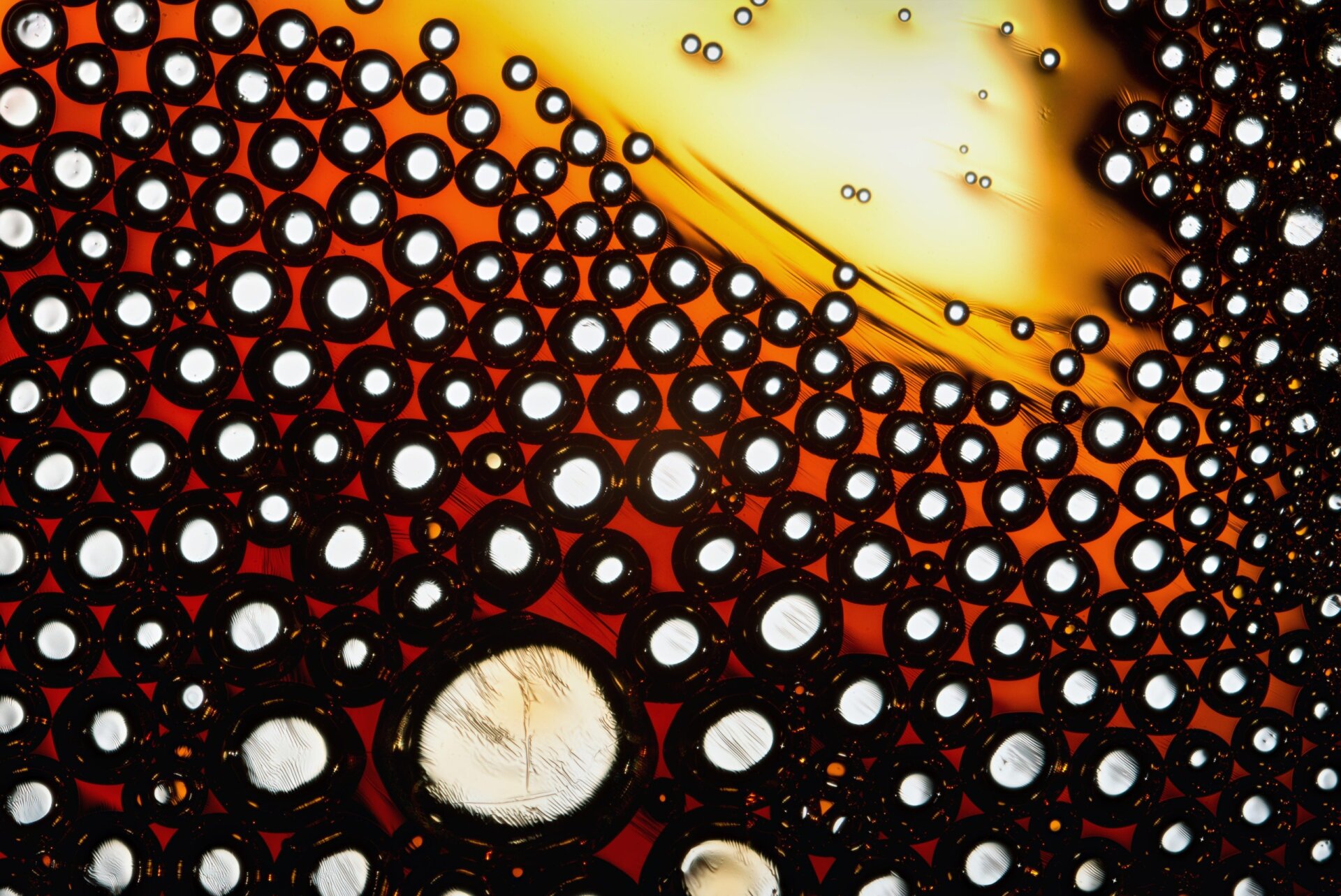 Photo: Andrey Semenenko