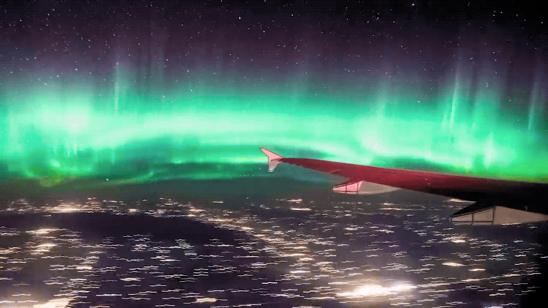 Gif: Nathan Starzynski