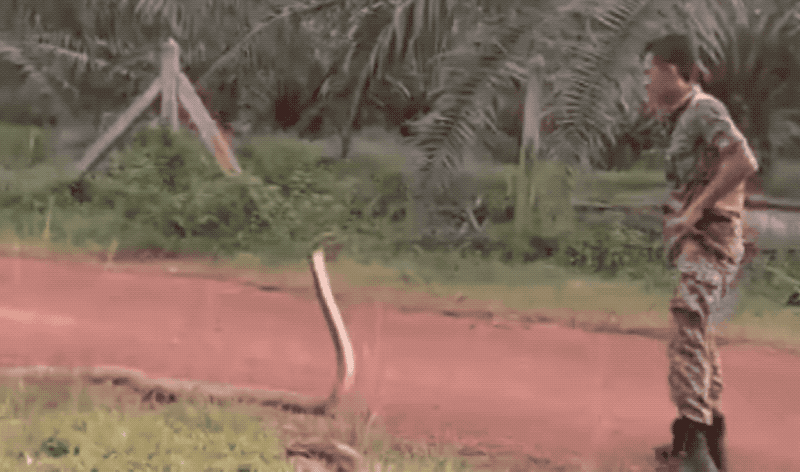 Photo: Segak Berseragam