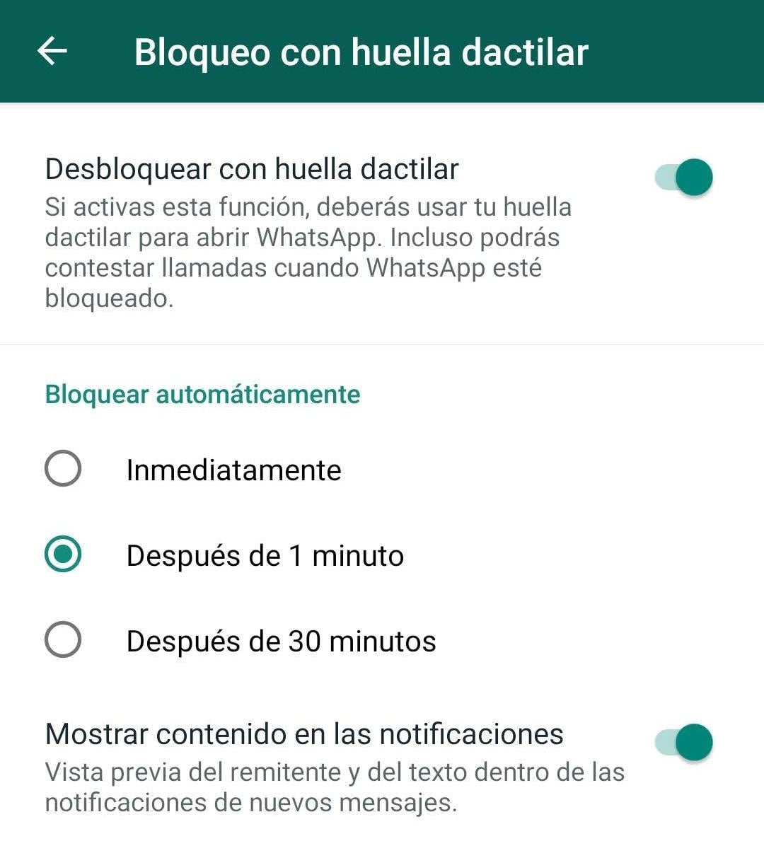 Screenshot: Matías S. Zavia