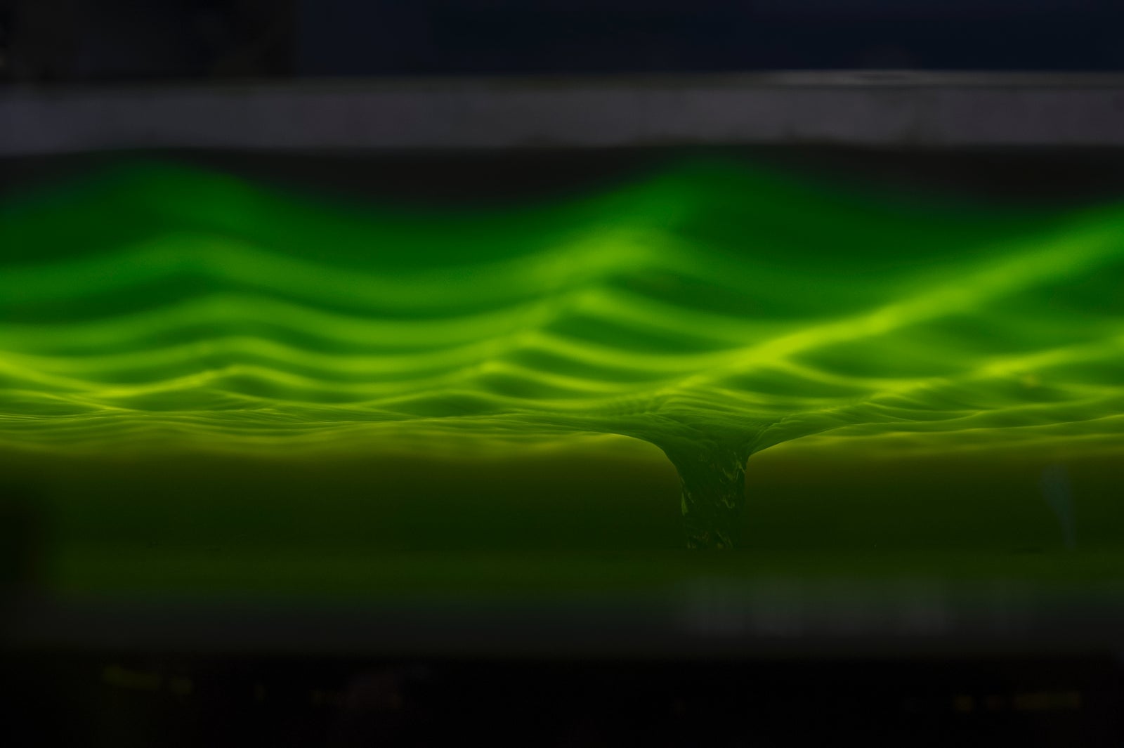 Una foto del experimento Weinfurtner.
