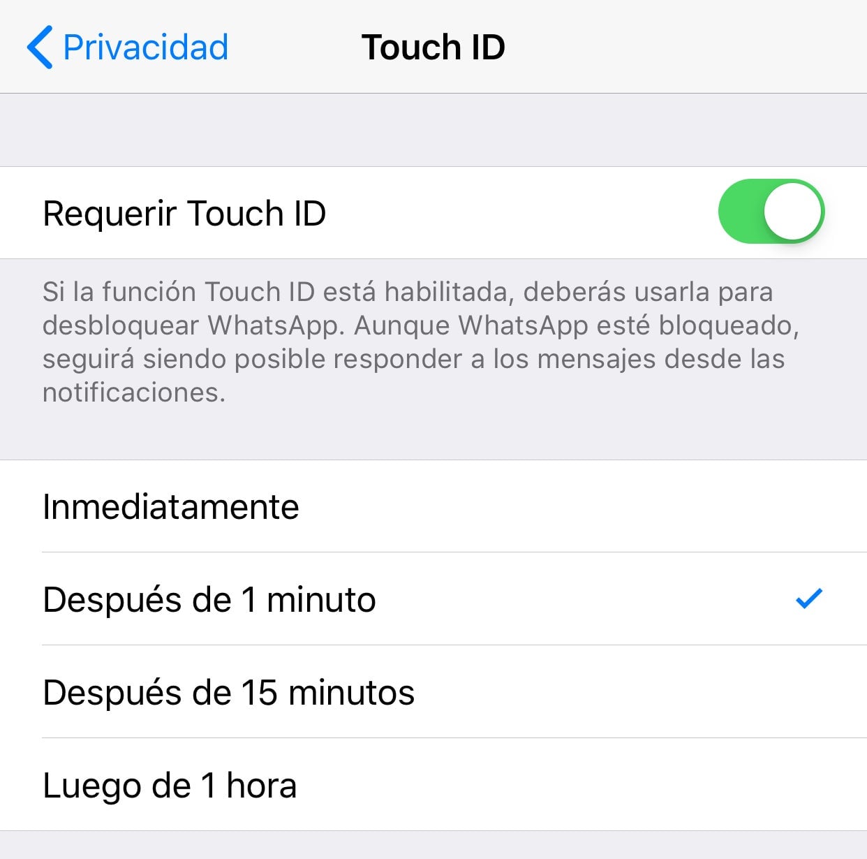 Screenshot: Eduardo Marín