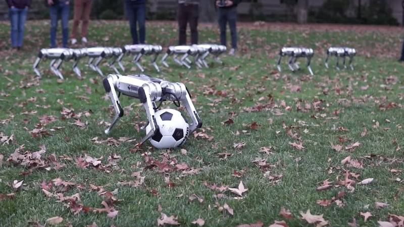 Screenshot: Biomimetics MIT