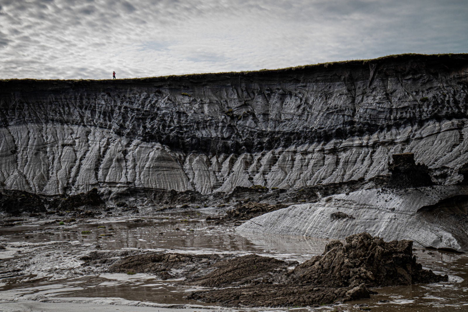 La silueta de una persona sobre el particular paisaje de la Isla de Herschel. Imagen: Gergana Daskalova/British Ecological Society