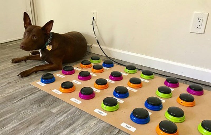 Photo: Hunger for Words