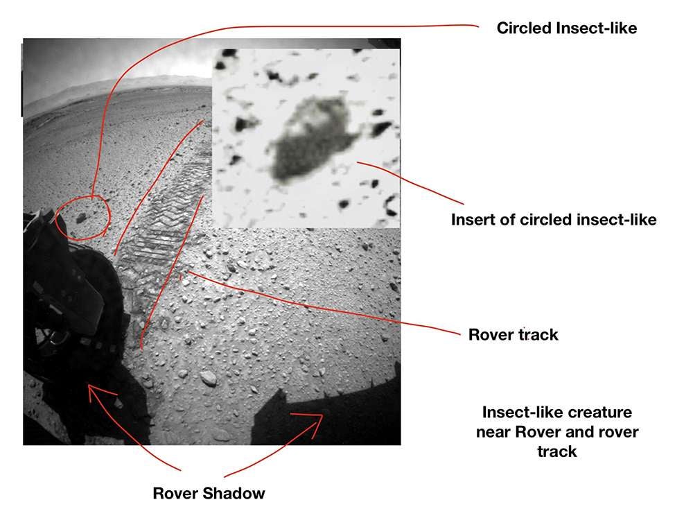 Image: Las pruebas de Romoser