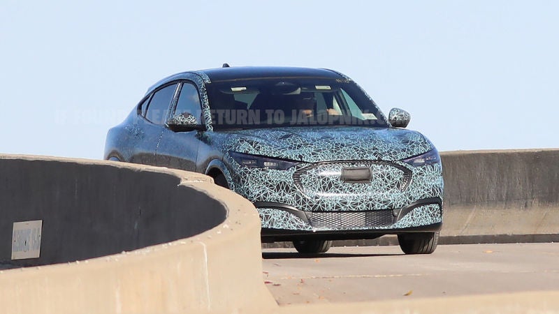 Photo: Brian Williams/Spiedbilde.