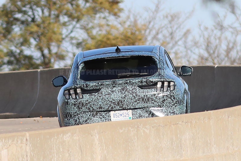 Photo: Brian Williams/Spiedbilde.