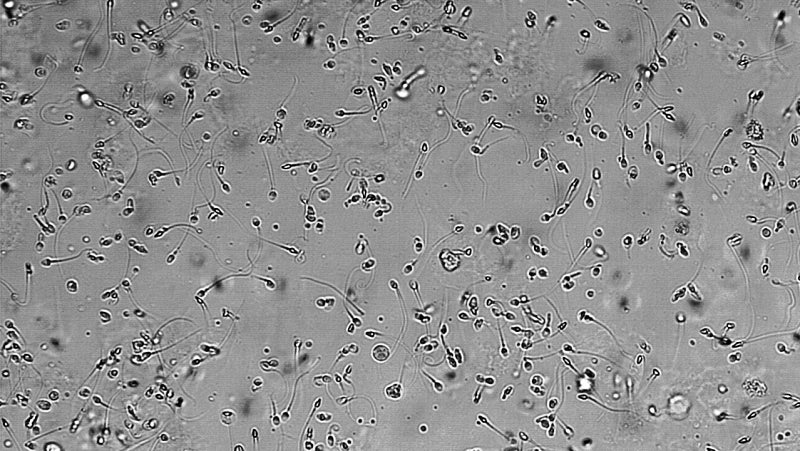 Photo: Doruk Salancı