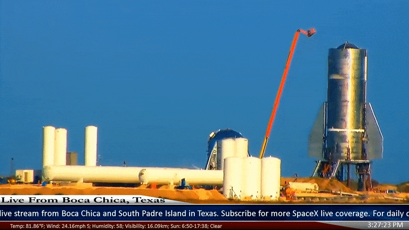 Gif: LabPadre/Maria Pointer