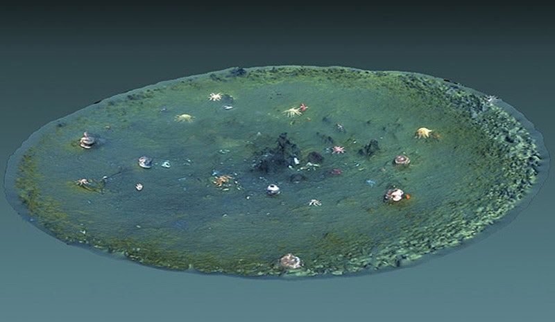 Reconstrucción en 3D de una de las depresiones menores. 