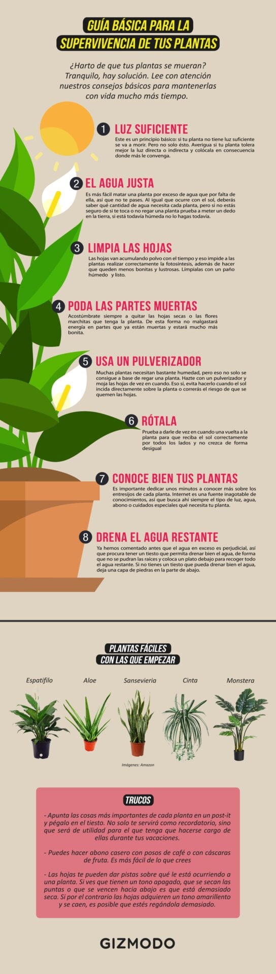 Imagen: Julio Cerezo