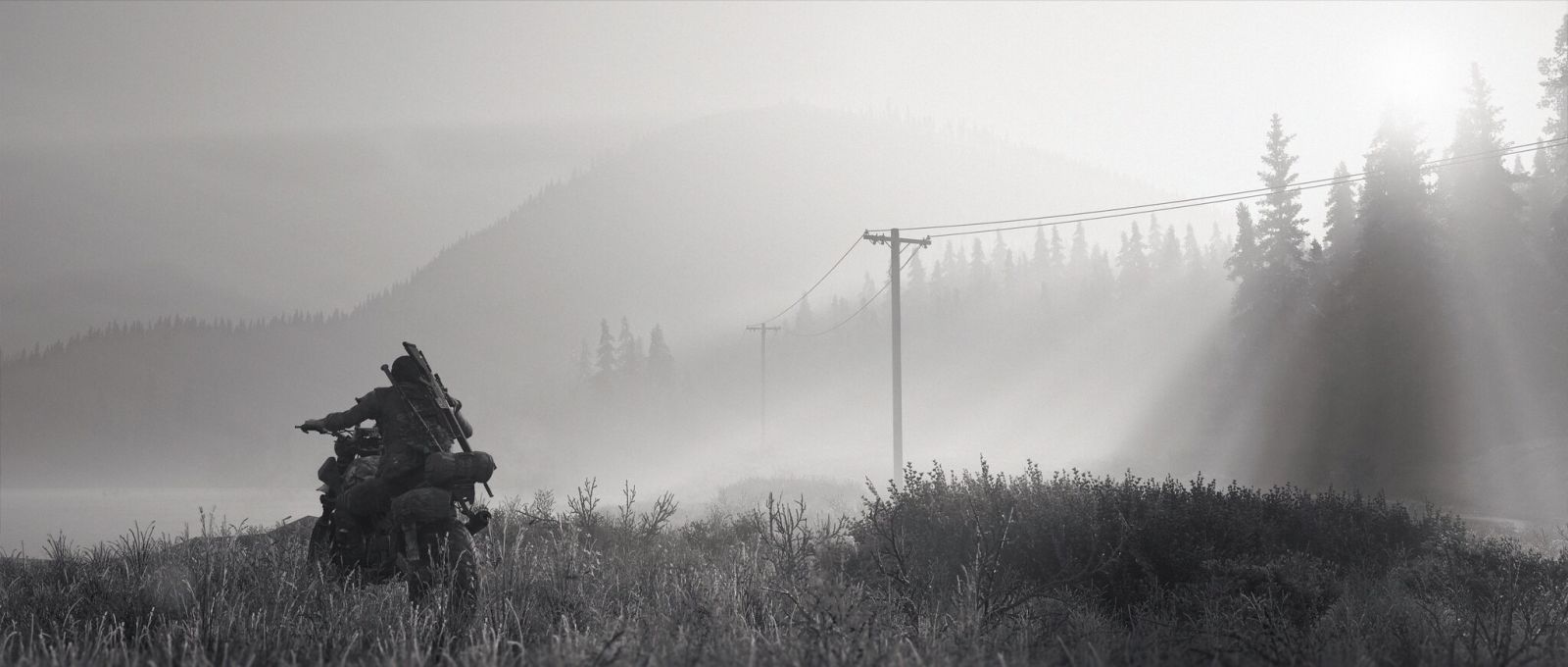DAYS GONE