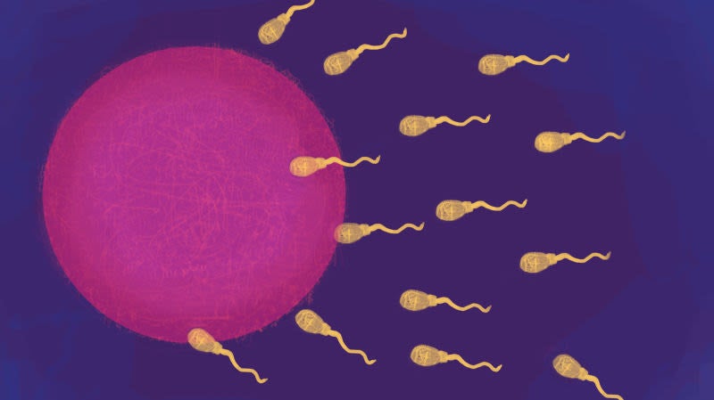 Illustration: Maria Mellor