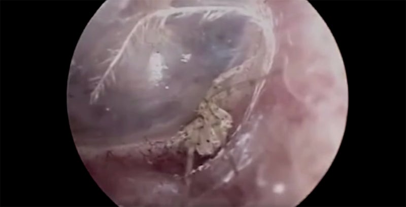 Image: South China Morning Post