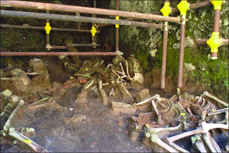 Restos óseos encontrados en su posición original. Imagen: R. Martyn et al., 2020/Antiquity