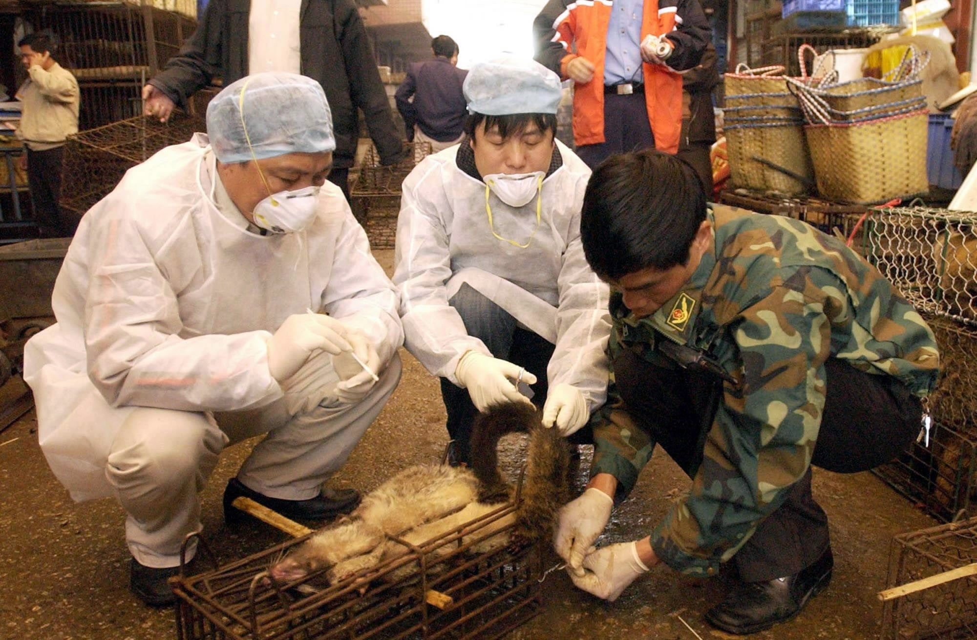 Image: Se cierra un puesto de civeta en un mercado de Guangzhou
