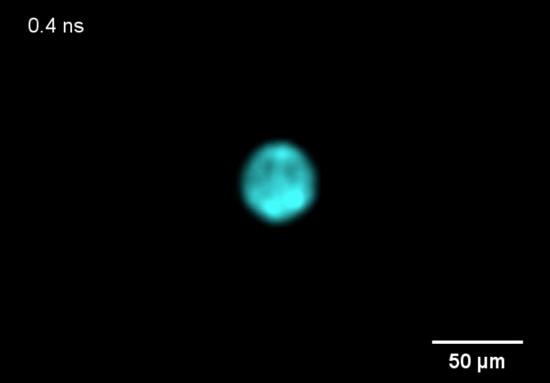 Gif: Caltech