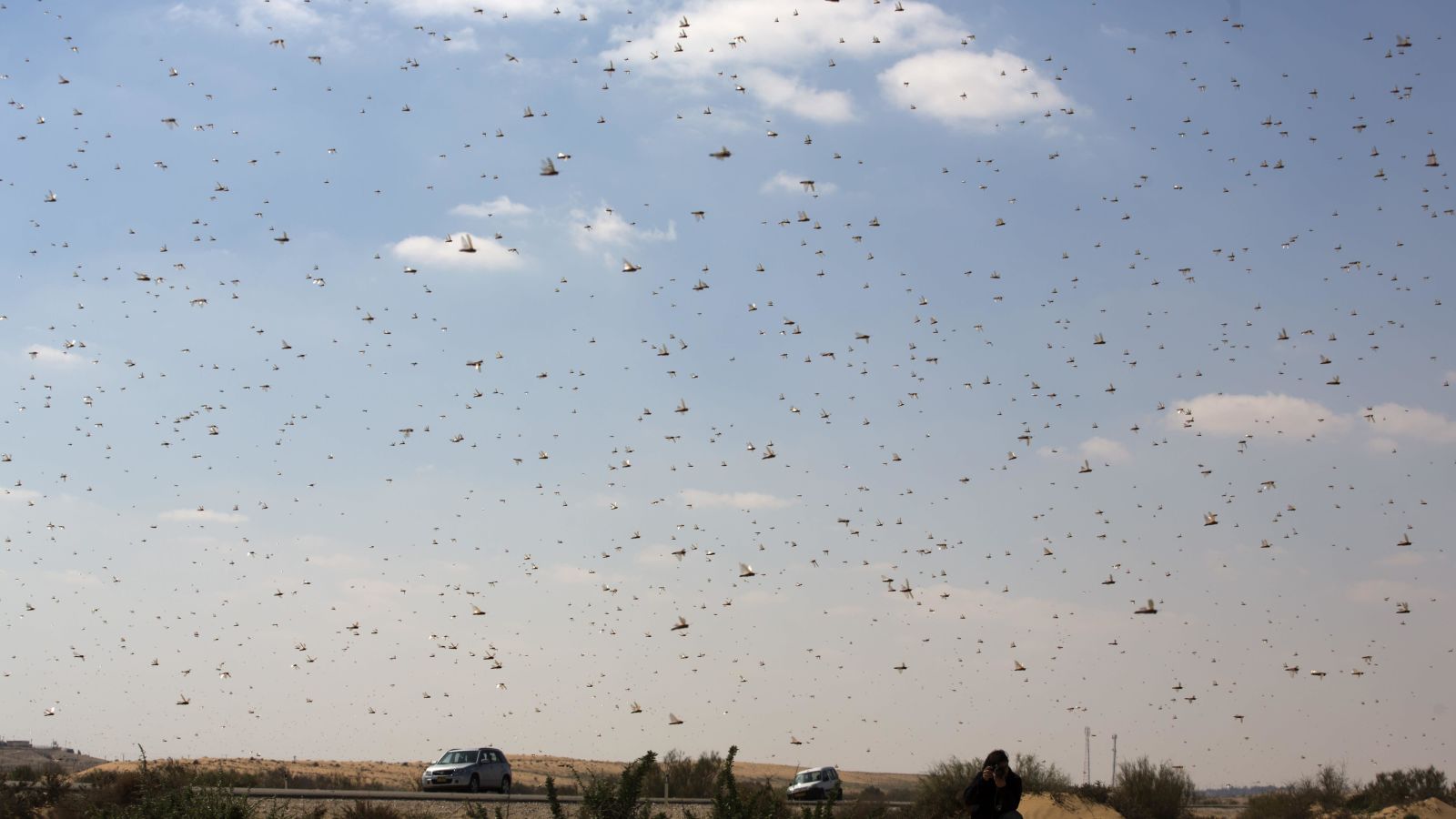 Me pica todo el cuerpo de ver esto.
Foto: Getty