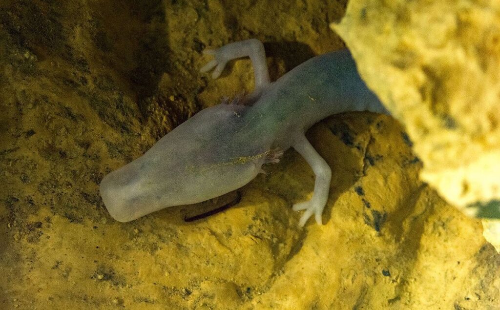 Photo: Javier Ábalos Alvarez