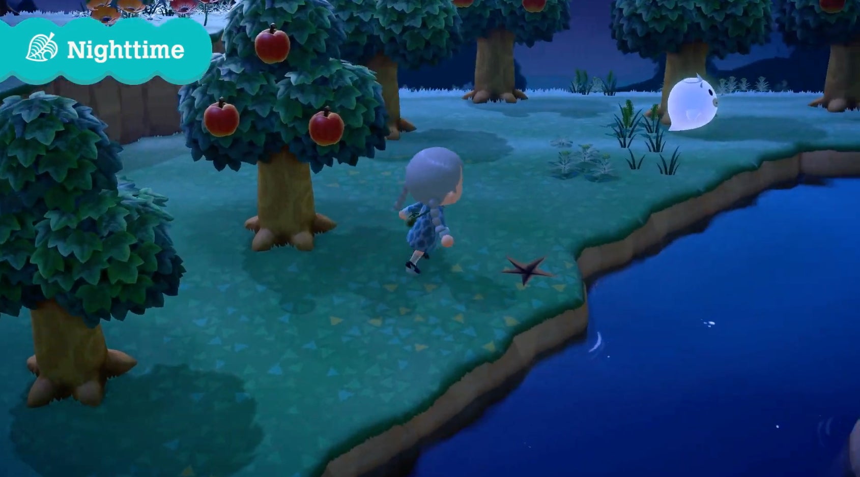 Screenshot: Nintendo.