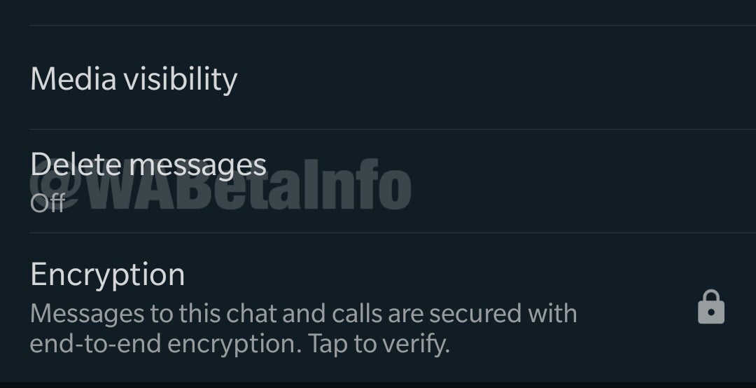 Screenshot: WABetaInfo