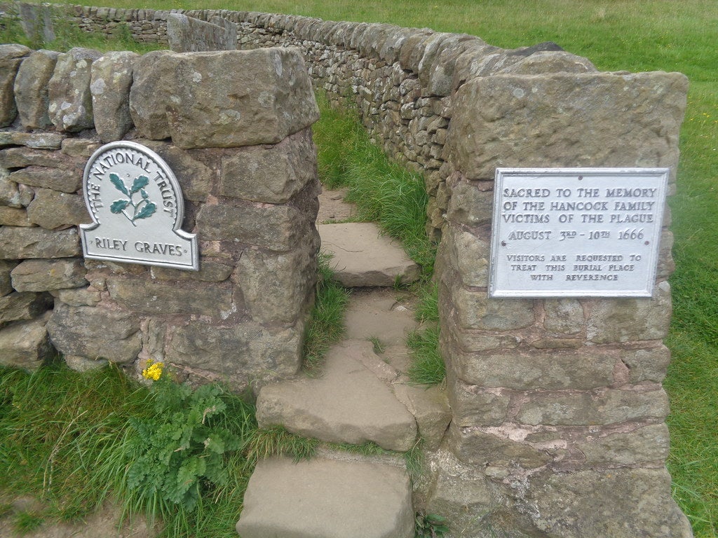 Image: The Roaming Picture Taker