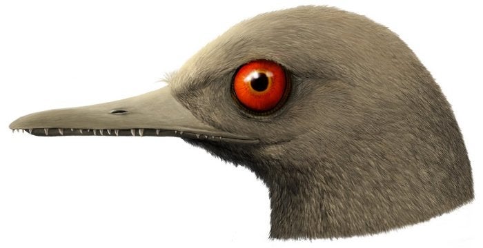 Illustration: mpresión artística del Oculudentavis vivo hace 99 millones de años