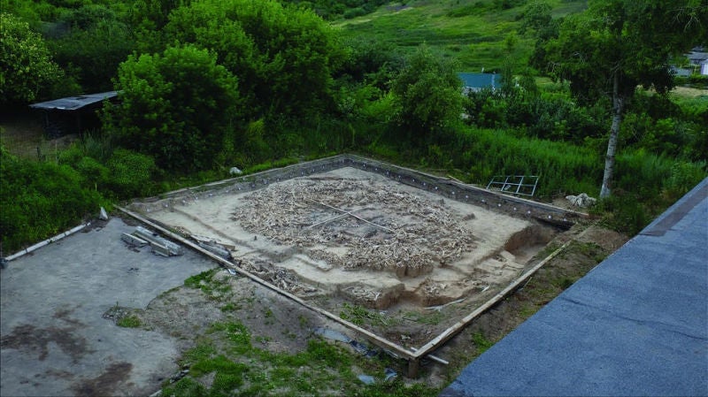 Image: La estructura ósea de mamut recién descubierta en el sitio Kostenki 11 en Rusia