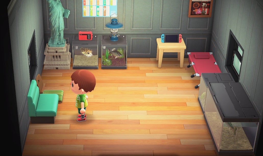 Por alguna razón, uno de mis primeros antojos fue llenar de peceras mi casa.