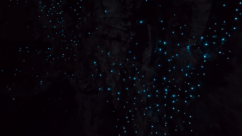 GIF: Youtube (Stoked for Saturday)