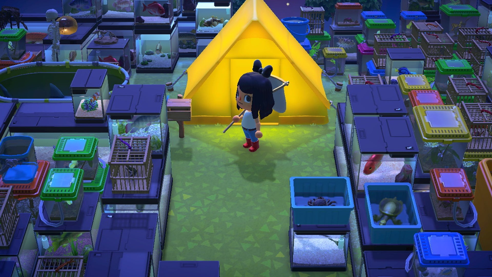 Acumuladores en Animal Crossing (Nintendo).