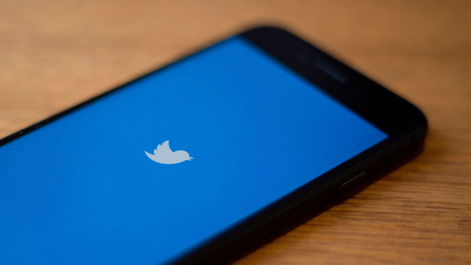 Foto: ALASTAIR PIKE/AFP (Getty)