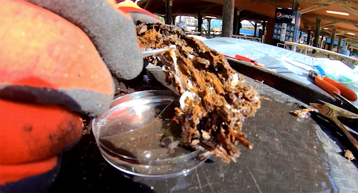 Screenshot: Brian Helmuth