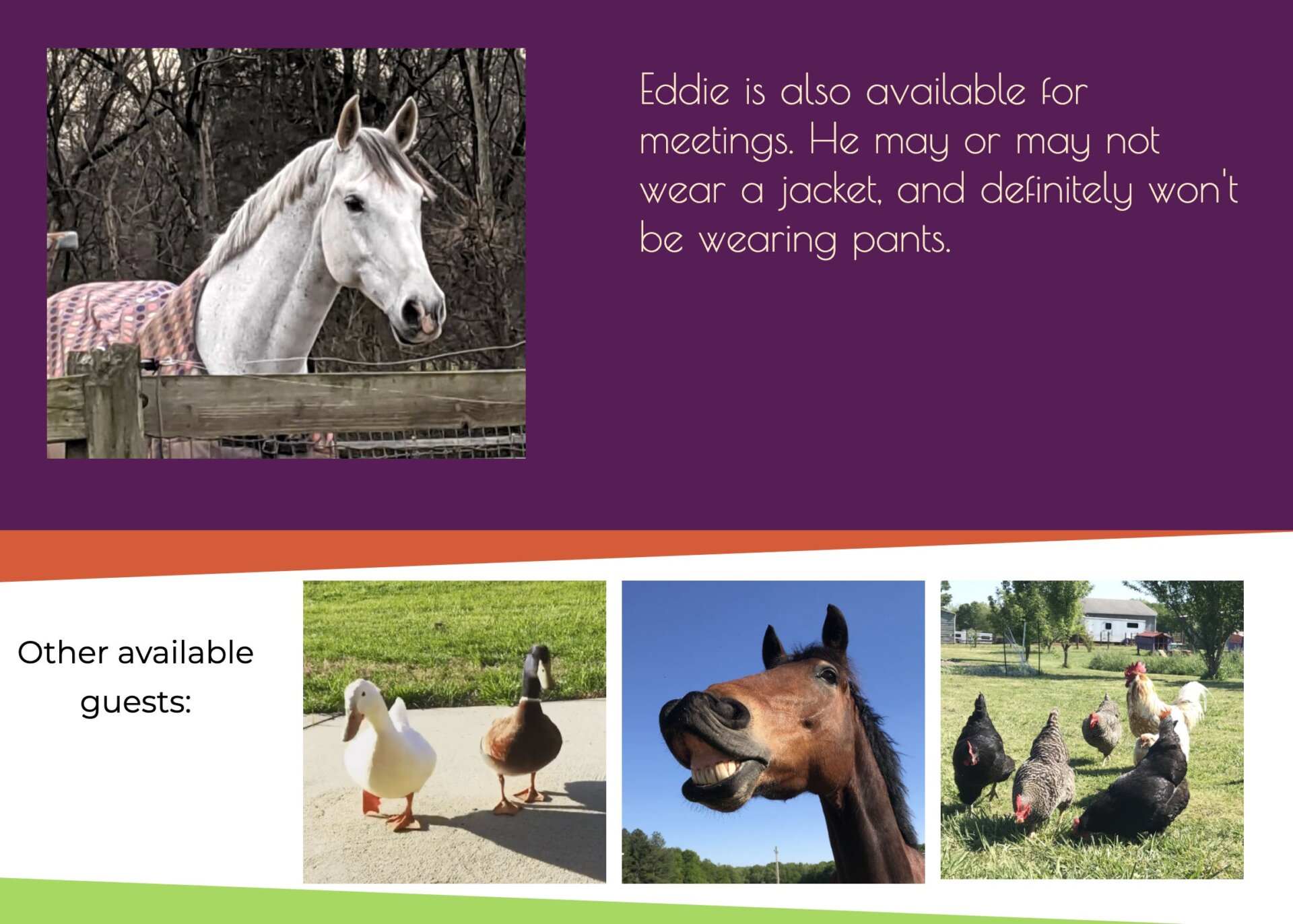 Image: Peace N Peas Farm