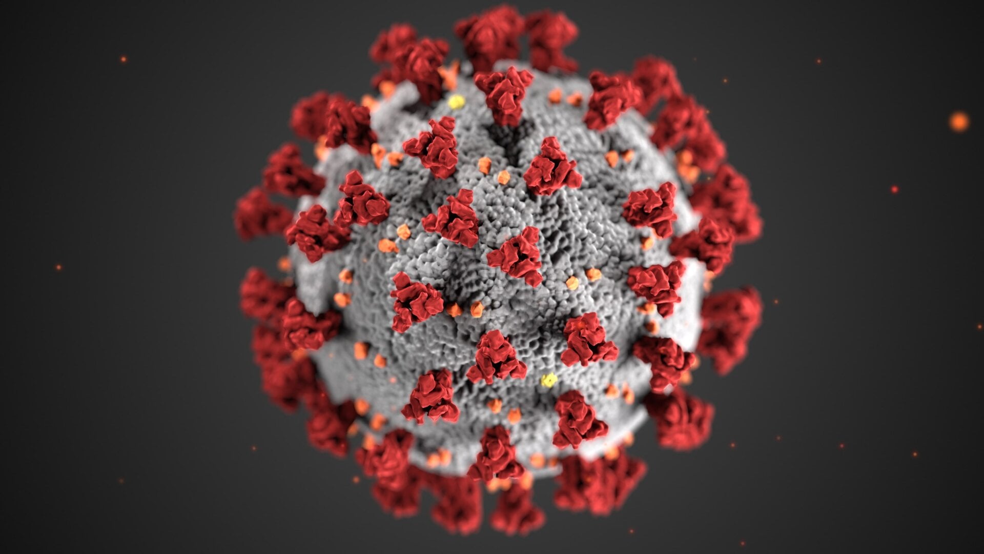 Una ilustración de un coronavirus. Uno de estos virus, SARS-CoV-2, causa covid-19.