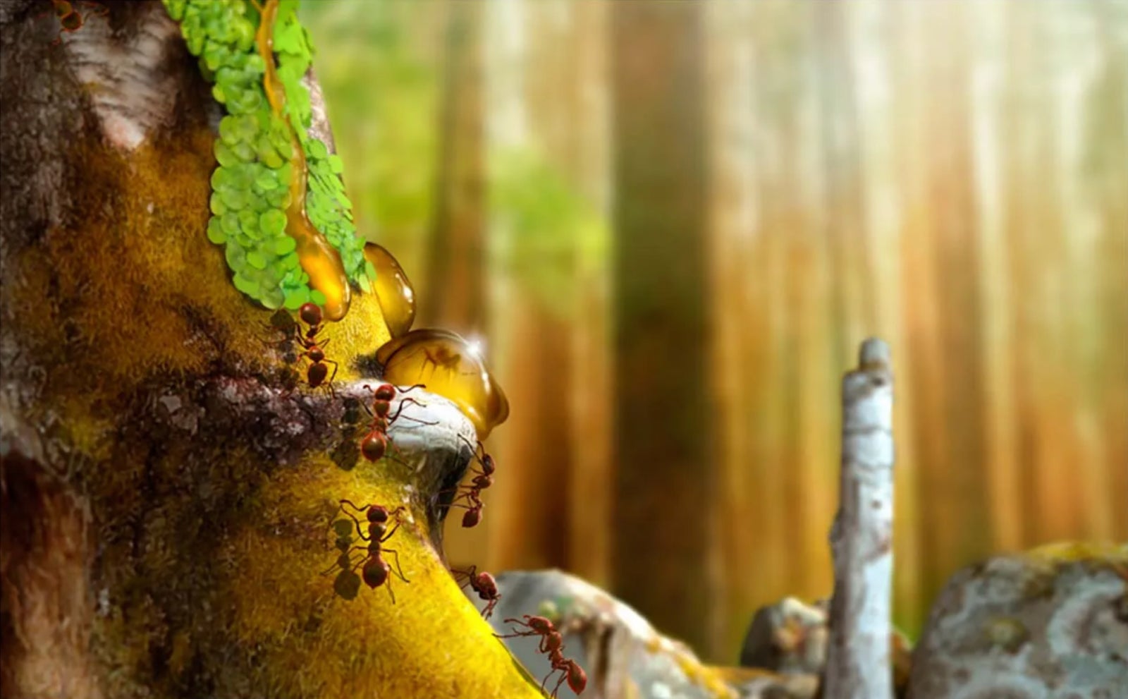 Image: Reconstrucción artística de Monomorium, una especie de hormiga previamente desconocida encontrada congelada en ámbar australiano.