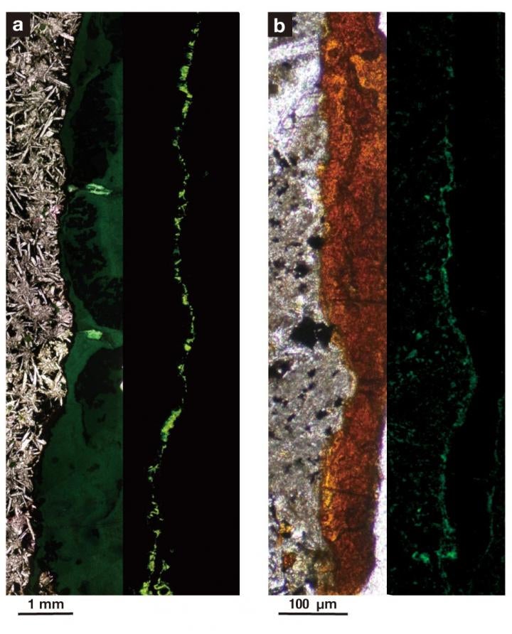 Imágenes ampliadas de las muestras de roca, en las cuales (b) está 1.000 veces más ampliada que (a). Las manchas verdes a la derecha de cada una muestran la bacteria, iluminada por luz fluorescente. Las áreas grises son de arcilla, y las áreas naranja son rocas sólidas de basalto (volcánicas).