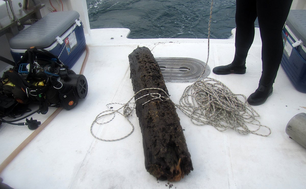 Photo: Brian Helmuth