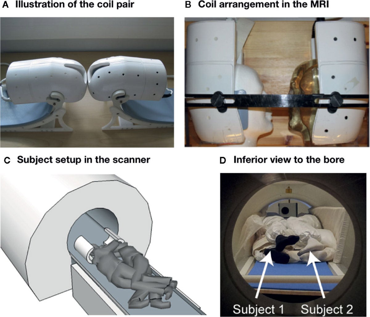Photo: Lauri Nummenmaa et al. Universidad de Aalto