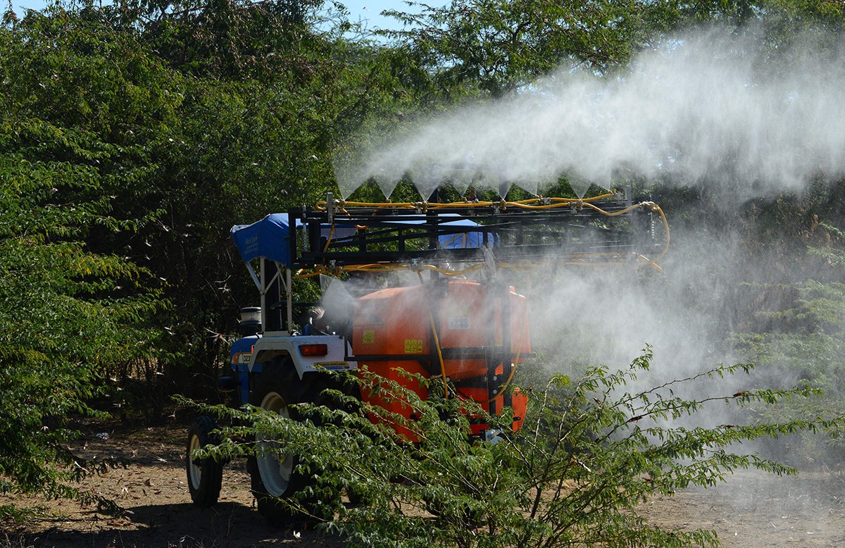 Un tractor diseminando pesticidas para luchar contra la plaga de langostas de 2019 en India.