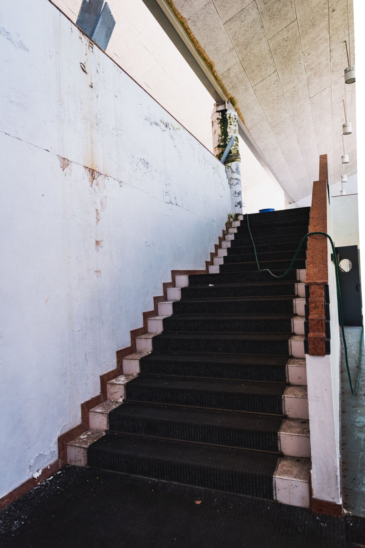 Photo: Ken Saito