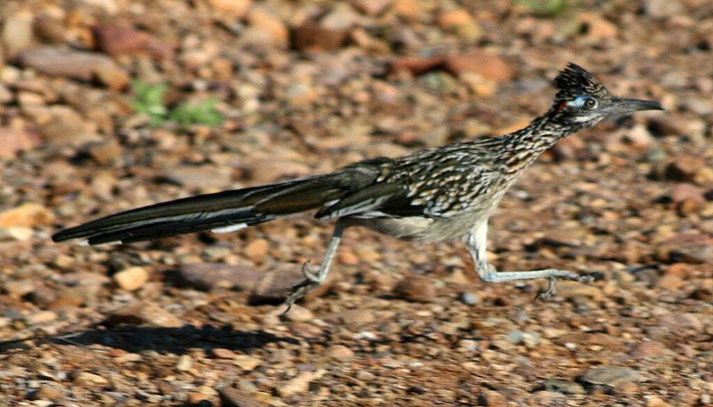 Photo: El Brujo+ / Flickr