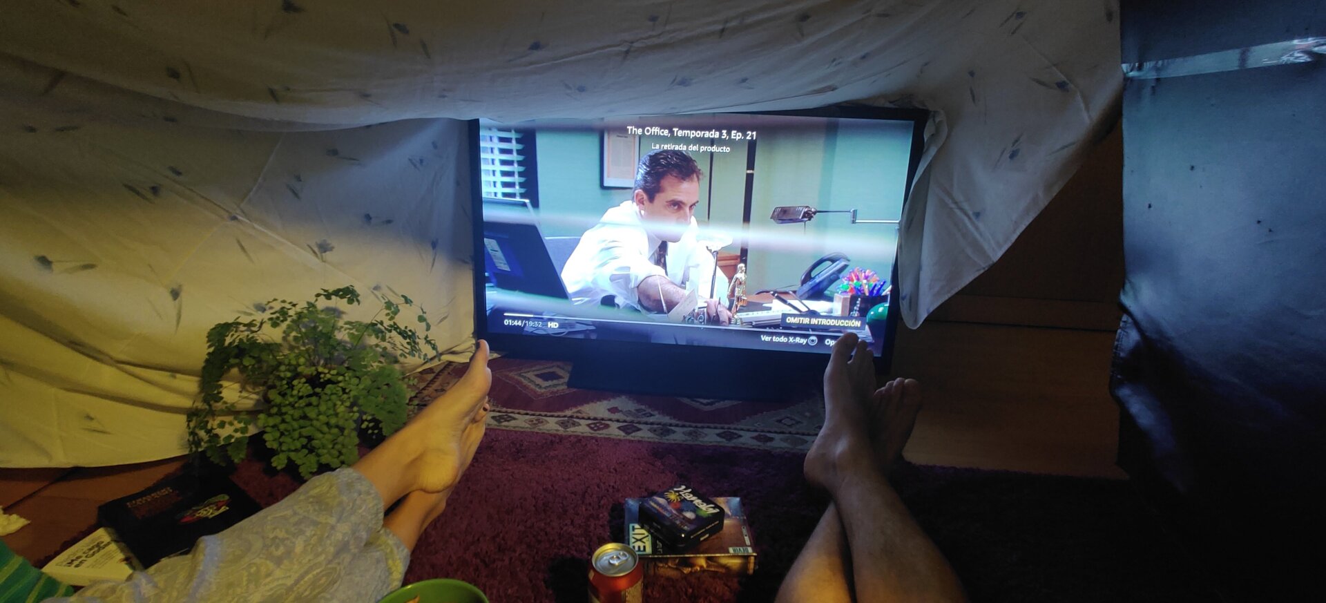 La decoración del interior del fuerte va a gusto del consumidor, pero si metéis plantas acordaos de sacarlas para hacer la fotosíntesis. Imagen: Julio Cerezo