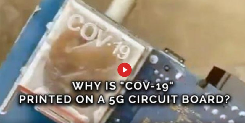 Screenshot: Michelle Dickinson