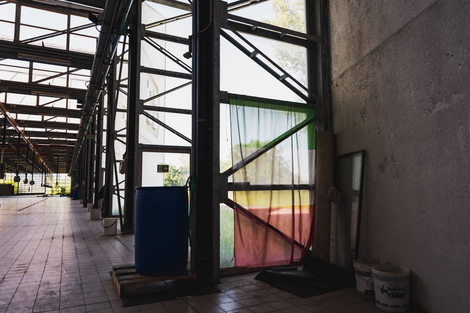 Photo: Ken Saito