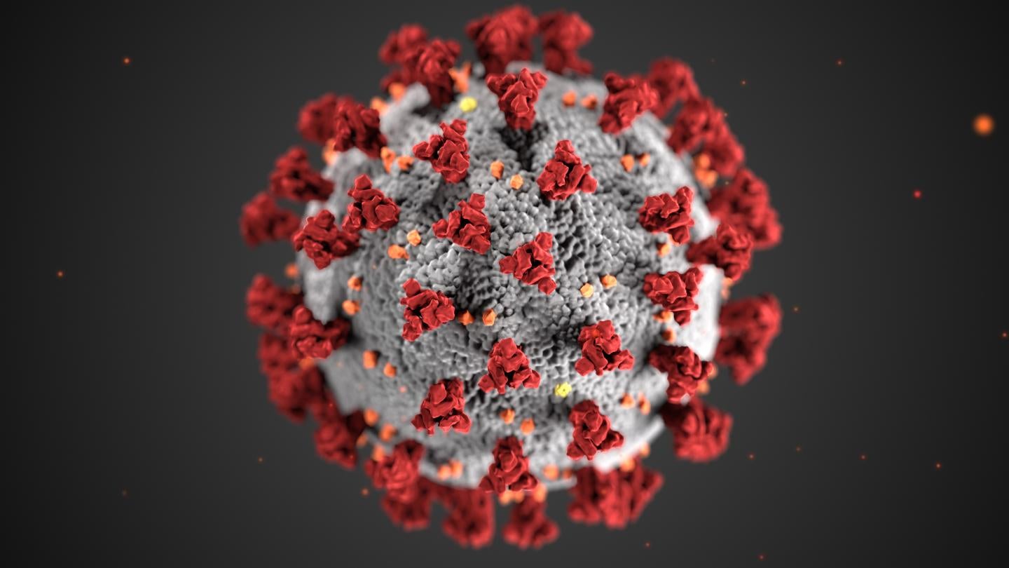 Image: Coronavirus