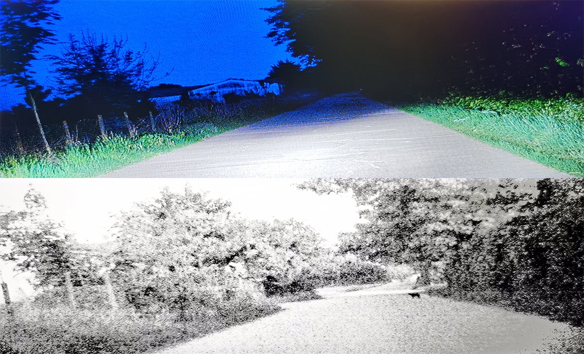 Arriba, la imagen en color. Abajo, la imagen en blanco y negro a 480p que aparece si apagas las luces del coche. ¿Puedes ver al gato?