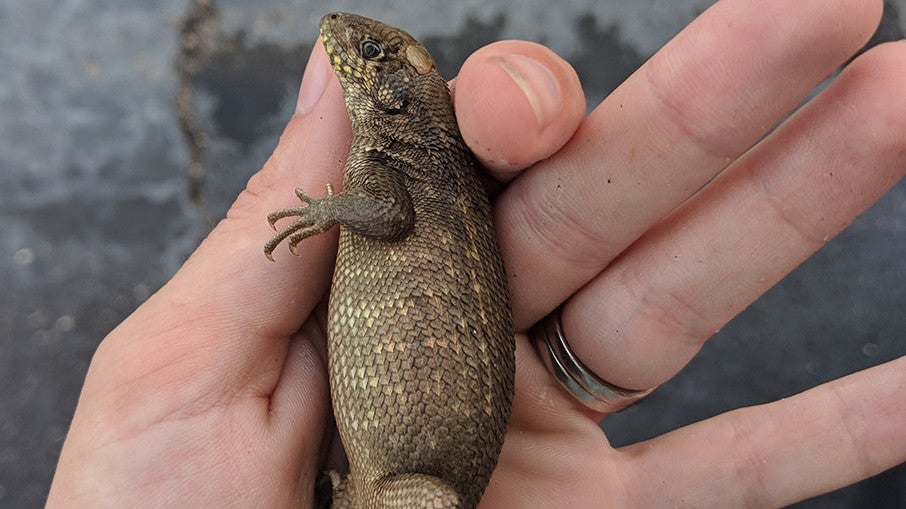 Photo: Natalie Claunch